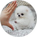 THE ONLY profile picture